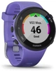 Спортивные часы Garmin Forerunner 45s Iris (010-02156-01/11) - изображение 2