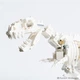 Конструктор LEGO Ideas Кістки динозавра 910 деталей (21320) - зображення 9
