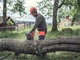 Бензопила Husqvarna 135 II (9678618-14) - изображение 8
