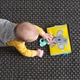 Развивающая книжка Taf Toys Мечтательные коалы двусторонняя мягкая с зеркальцем и прорезывателем для развития мелкой моторики малышей от 0 месяцев - изображение 9