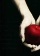 The Twilight Saga Journals. Boxed Set (комплект з 4 записних книжок) - зображення 2