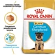 Сухий корм Royal Canin German Shepherd Puppy для цуценят породи німецька вівчарка до 15 місяців, 3 кг (251903019) - зображення 2