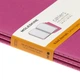 Набор записных книг Moleskine Cahier 13 x 21 см 3 шт по 80 страниц в линейку Розовый (8058647629650) - изображение 5
