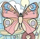 Водные раскраски Бабочки укр Crystal Book (F00026444) (160084) - изображение 3