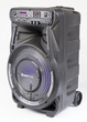 Акустическая колонка Manta SPK5033 Party Audio - изображение 1