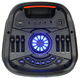 Акустическая колонка Manta SPK5310PRO - изображение 2