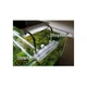 Акваріум "ZooСool White AquaScape" прямокутний (Прозорий силікон) 1200-400-500 (240л) 10мм - зображення 6