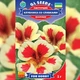 Настурція Полуниця з вершками Жовтий, Червоний Насіння Florium (726680) - зображення 2