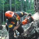 Бензопила Husqvarna 545 II (9676906-35) - изображение 6