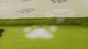Коврик для собак Vetbed Big Paws lime 160х100 см (VB-020-1) - изображение 9