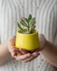 Керамічний горщик для сукулентів Mini Plant маленького розміру 6,3х6,4см Трапеція Яскравий Жовтий - зображення 3