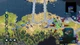 Battle Worlds Kronos (Switch, русская версия) - изображение 3