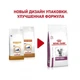 Лікувальний сухий корм для котів Royal Canin Renal Early 3,5 кг - зображення 4