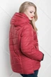Куртка Miorichi Аврора 50 Красный (01018-r-red50) - изображение 7