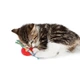 ​Жевательная игрушка для котов Petstages Kitty Chew Wheel - изображение 3