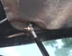 Амортизатор капота Honda CR-V 4 (2012-2016) Hood Lift Supports (1_162) - зображення 3
