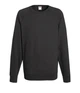 Свитшот лёгкий Fruit of the Loom M Светлый Графит (D0621380GLM) - изображение 1