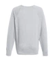 Свитшот лёгкий Fruit of the Loom XL Серо-Лиловый (D062138094XL) - изображение 2