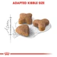 Сухой корм Royal Canin Sensible для кошек с чувствительной пищеварительной системой от 1 года 10 кг (3182550702355) - изображение 2