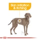 Сухой корм Royal Canin Maxi Dermacomfort для собак крупных пород склонных к раздражению кожи от 15 месяцев 10 кг (3182550893640) - изображение 3