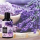 Сменный баллон к освежителю воздуха Spring Air Lavender Лаванда аэрозоль 250 мл - изображение 1