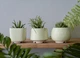 Керамический горшок для растений Mini Plant маленького размера 6,3х6,4см Трапеция Желтый - изображение 3