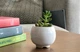 Керамический горшок для растений Mini Plant размер XS 5,2х5,1см Круглый Белый - изображение 1