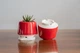 Керамический горшок для суккулентов Mini Plant маленького размера 6,3х6,4см Трапеция Красный - изображение 2