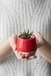 Керамический горшок для суккулентов Mini Plant маленького размера 6,3х6,4см Трапеция Красный - изображение 3