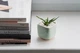 Керамический горшок для кактусов Mini Plant размер XS 5,2х5,1см Квадратный Мятный - изображение 3