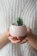 Керамический горшок для суккулентов Mini Plant маленького размера 6,2х6,3см Круглый Розовый - изображение 2
