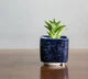 Керамічний горщик для кактусів Mini Plant маленького розміру 6,4х6,5см Квадратний Синій Клеопатра - зображення 1