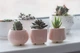 Керамический горшок для кактусов Mini Plant маленького размера 6,4х6,5см Квадратный Розовый - изображение 4