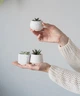 Керамический горшок для кактусов Mini Plant размер XS 4,9х5,2см Трапеция Белый Блаугранити - изображение 4