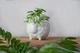 Керамический горшок для растений Mini Plant Овечка Животное белая, размер 7,5 x 8,5 см - изображение 3