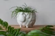 Керамический вазон для растений Mini Plant Овечка Животное белая размер 10,5 x 9,5 см - изображение 2