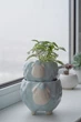 Керамический вазон для растений Mini Plant Овечка Животное голубая , размер 7,5 x 8,5 см - изображение 5