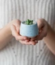 Керамічний горщик для кактусів Mini Plant розмір XS 5,2х5,1см Трапеція Блакитний у крапку - зображення 2