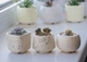 Керамический горшок для кактусов Mini Plant размер XS 5,2х5,1см Квадратный Бежевый в крапинку - изображение 3