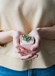 Керамічний горщик для рослин Mini Plant розмір XS 5,2х5,1см Квдратний Рожевий - зображення 3