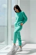 Женский спортивный костюм ONIOS Loungewear Tracksuit без капюшона Мятный L 2370 - изображение 2