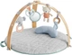 Розвиваючий килимок Ingenuity Cozy Spot (12126) (074451121263) - зображення 1