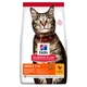 Hills (Хіллс) SP Feline Adult Chicken з куркою - Сухий корм для котів 1,5 кг - зображення 2