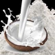 Сухое кокосовое молоко 30% ОПТ 25 кг - изображение 2