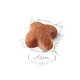 Royal Canin Jack Russell Terrier Adult 0.5 кг сухой корм (Роял Канин) для собак породы Джек Рассел Терьер - изображение 2