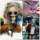 Кукла Blythe TBL Harley Quinn (кукла Блайз Харли Квин) в стильной подарочной упаковке, рост 30 см. (9031) - изображение 13