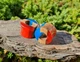 Серьги плаги WoodWork TUNNEL Round Red-Blue 50 мм Деревянные - изображение 7