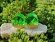 Серьги плаги WoodWork TUNNEL Round Green 26 мм Деревянные - изображение 10
