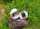 Сережки плаги WoodWork TUNNEL Round White Wood 40 мм Дерев'яні - зображення 3