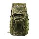 Рюкзак тактический AOKALI Outdoor A51 50L Camouflage Green (K/OPT2-5366-16915) - изображение 1